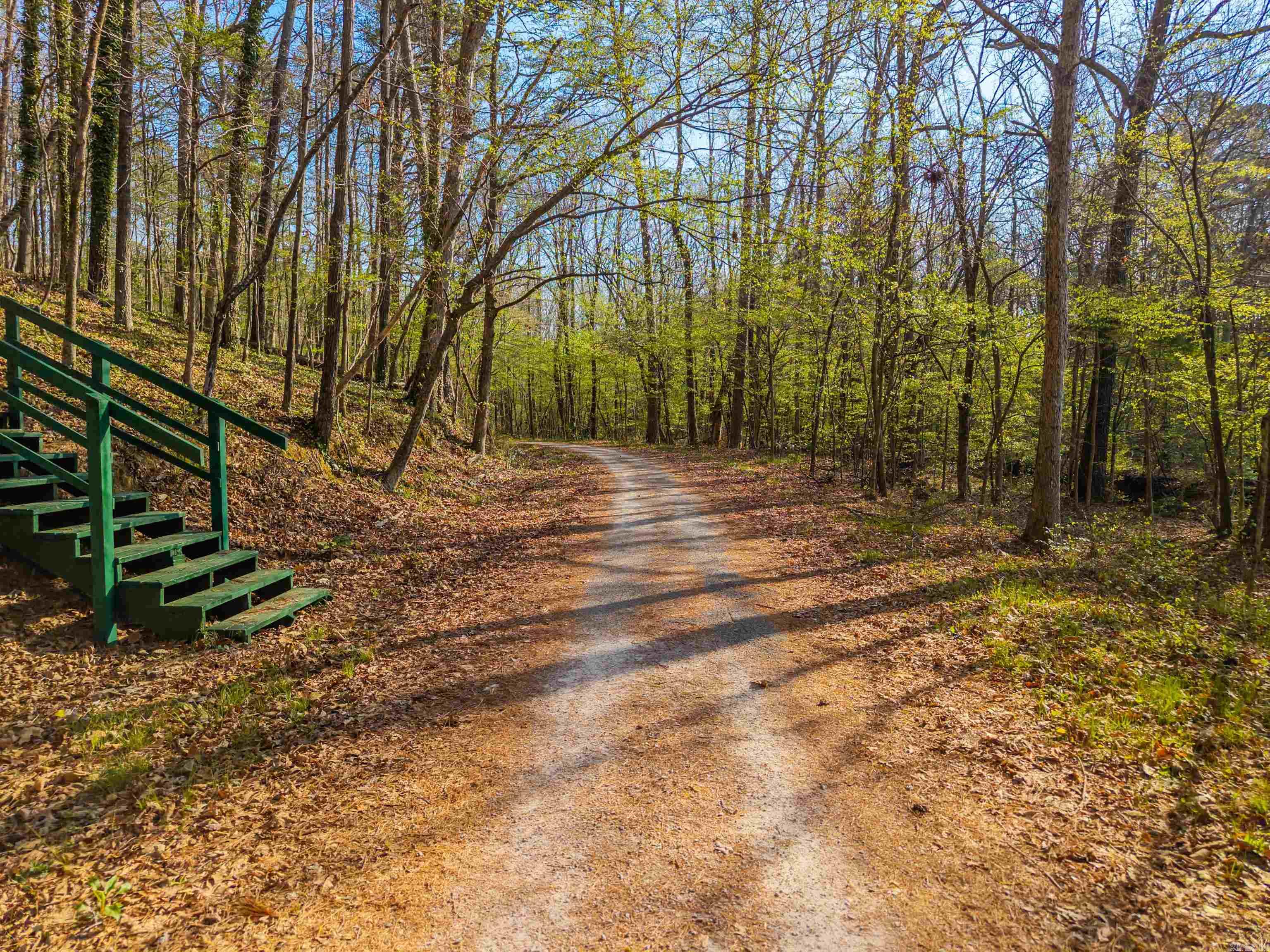 46 Malaga  Hot Springs Village, AR