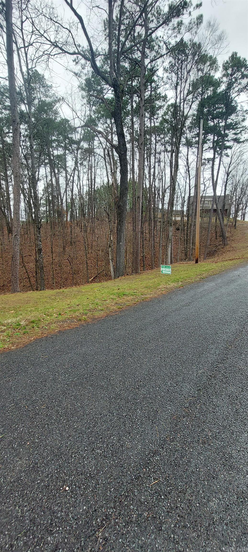 337 Arlington  Hot Springs Village, AR