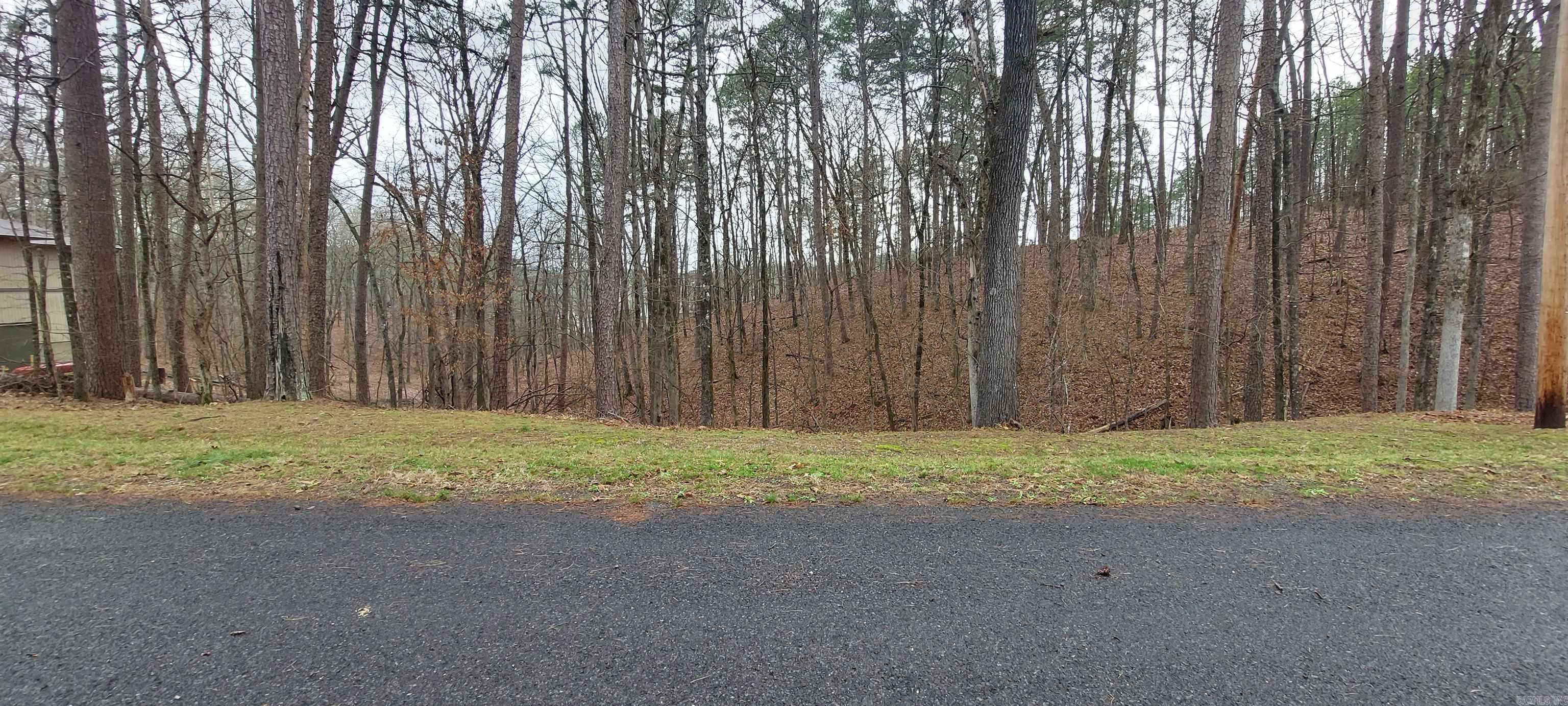 337 Arlington  Hot Springs Village, AR