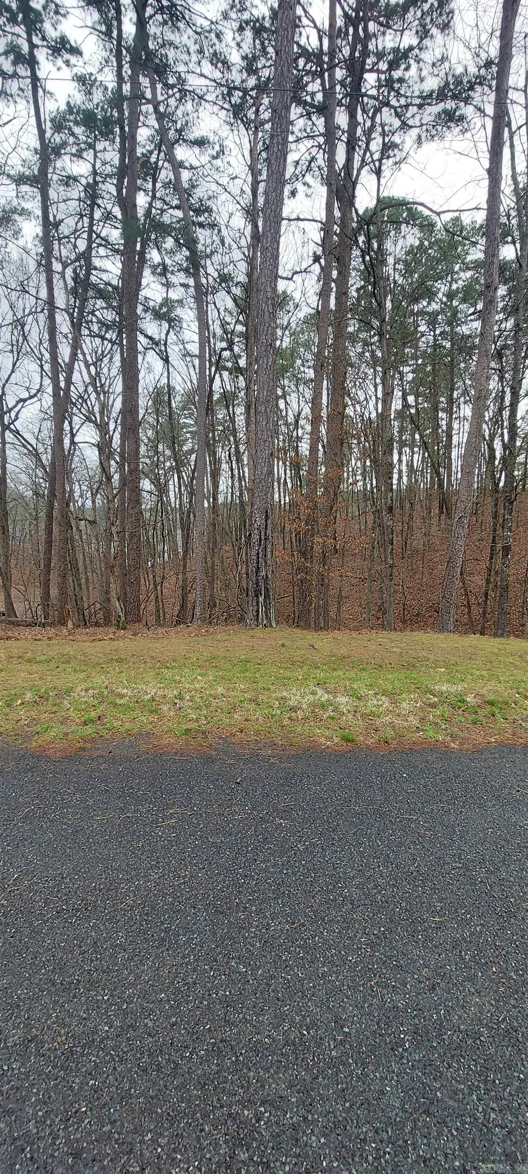 337 Arlington  Hot Springs Village, AR