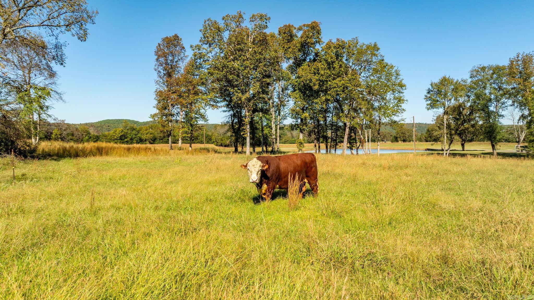 000 Damascus  Damascus, AR