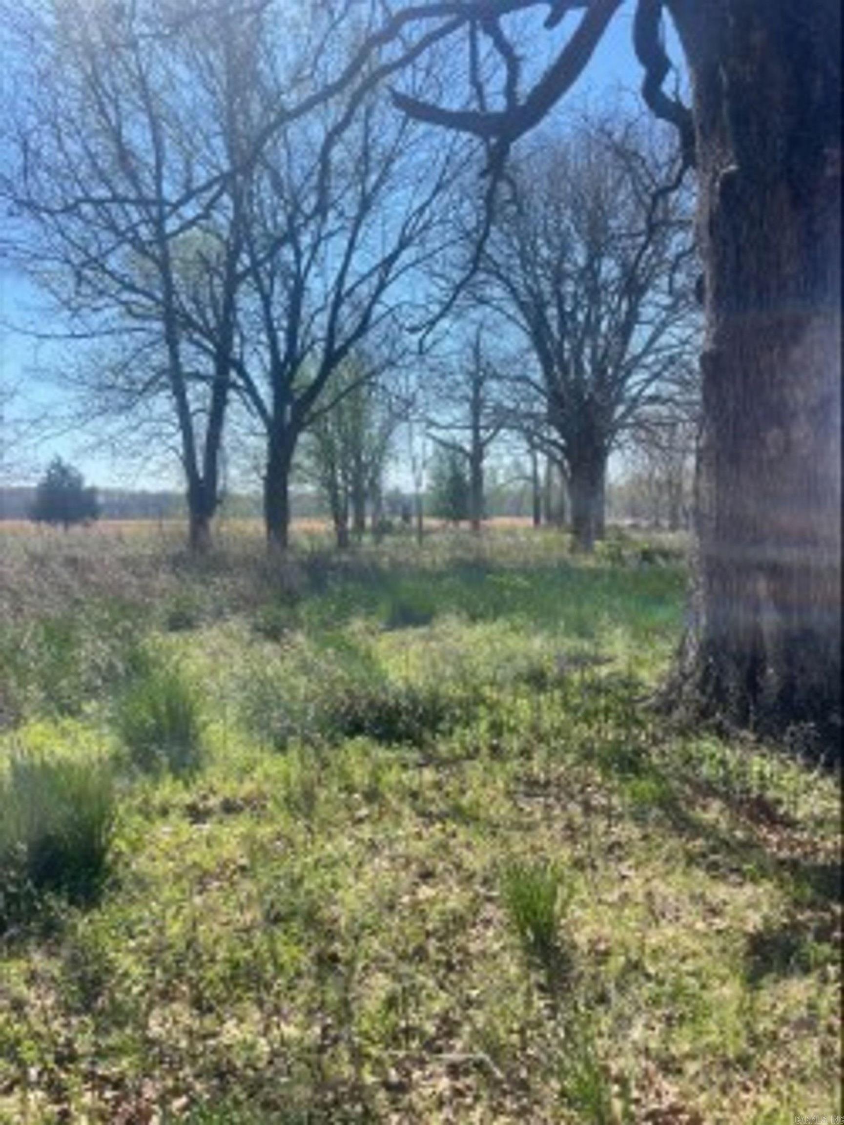 000 Holland Road  Hickory Plains, AR