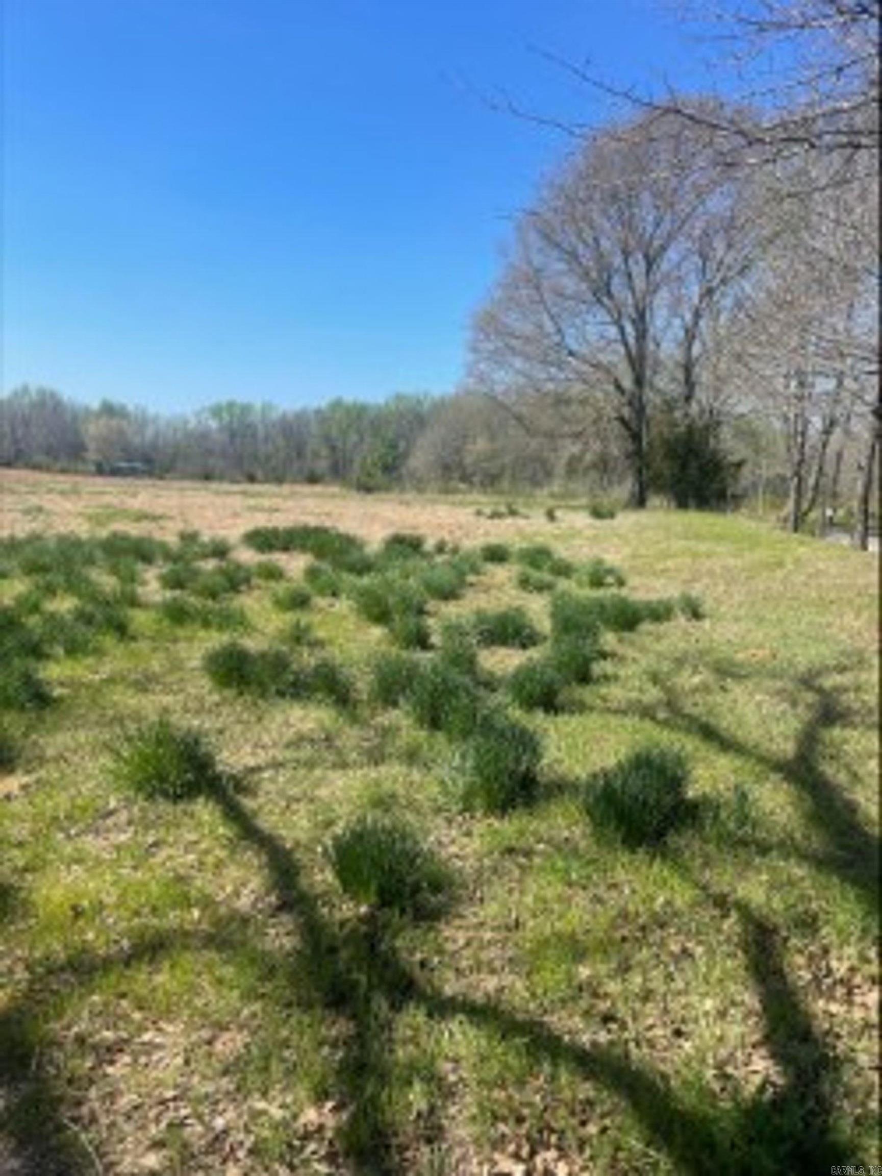 000 Holland Road  Hickory Plains, AR