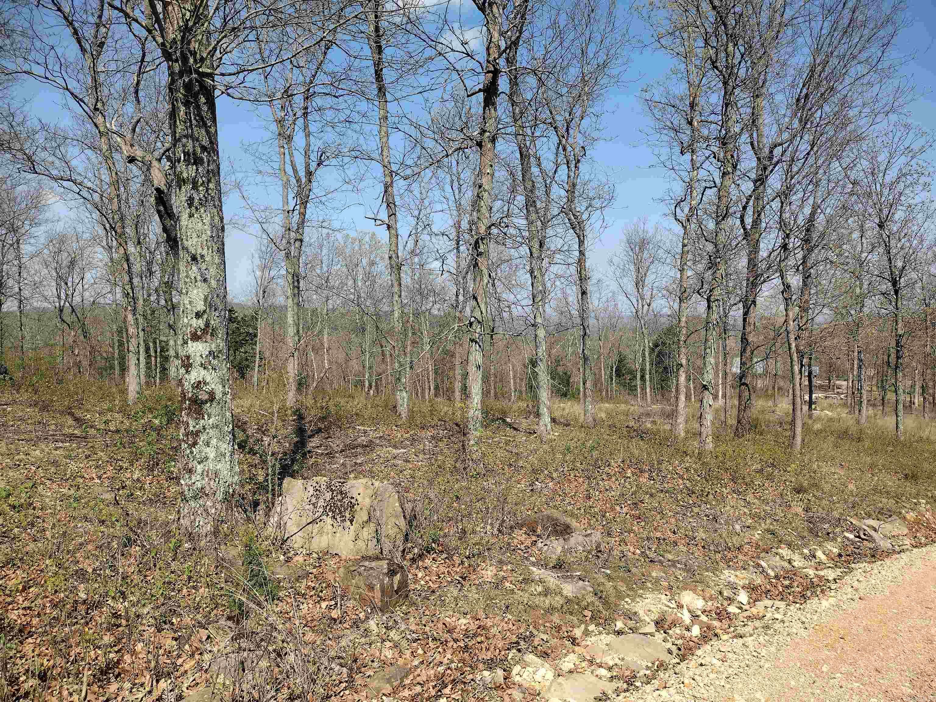 0 Harness RD  Mountain View, AR