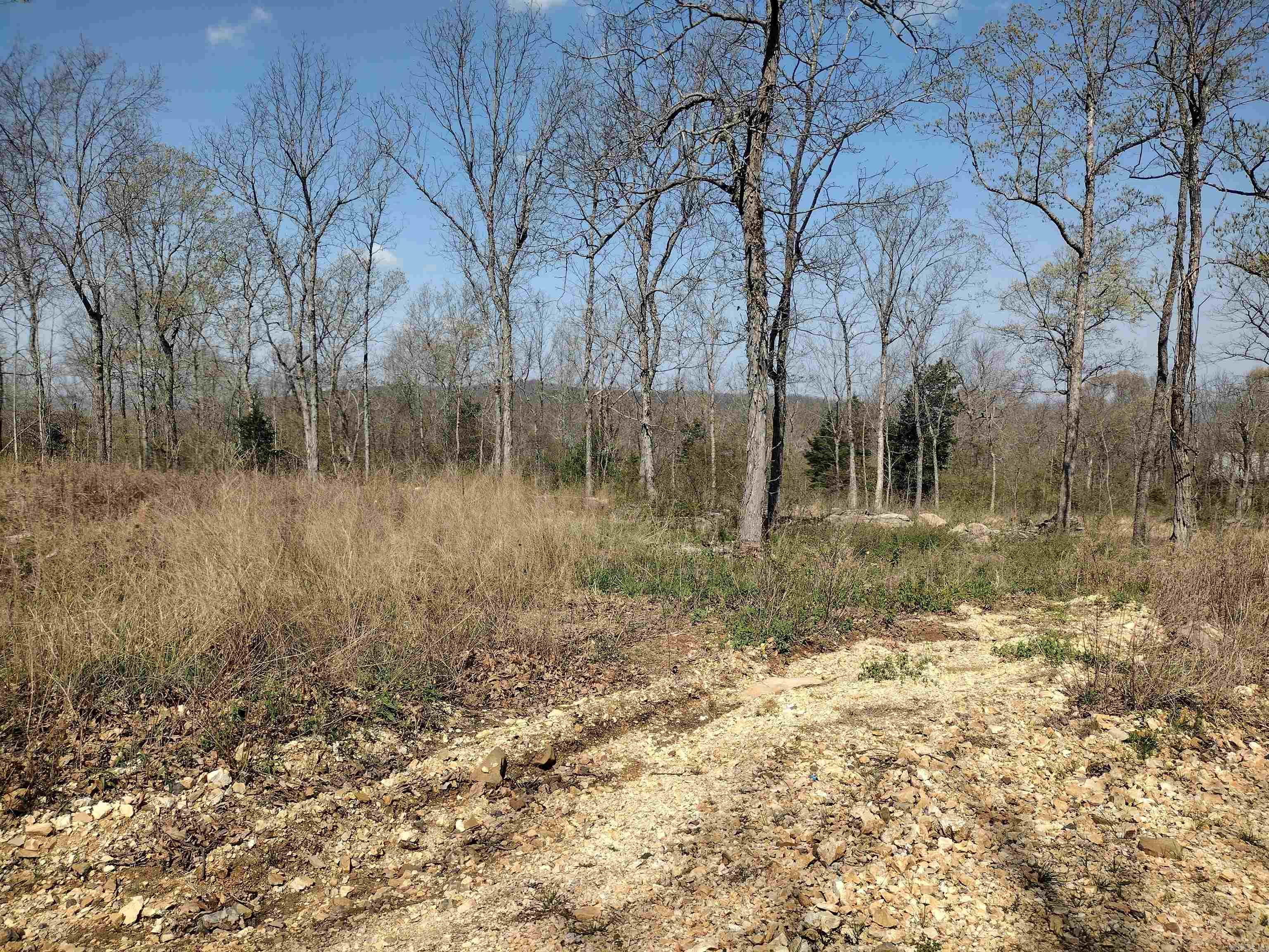 0 Harness RD  Mountain View, AR