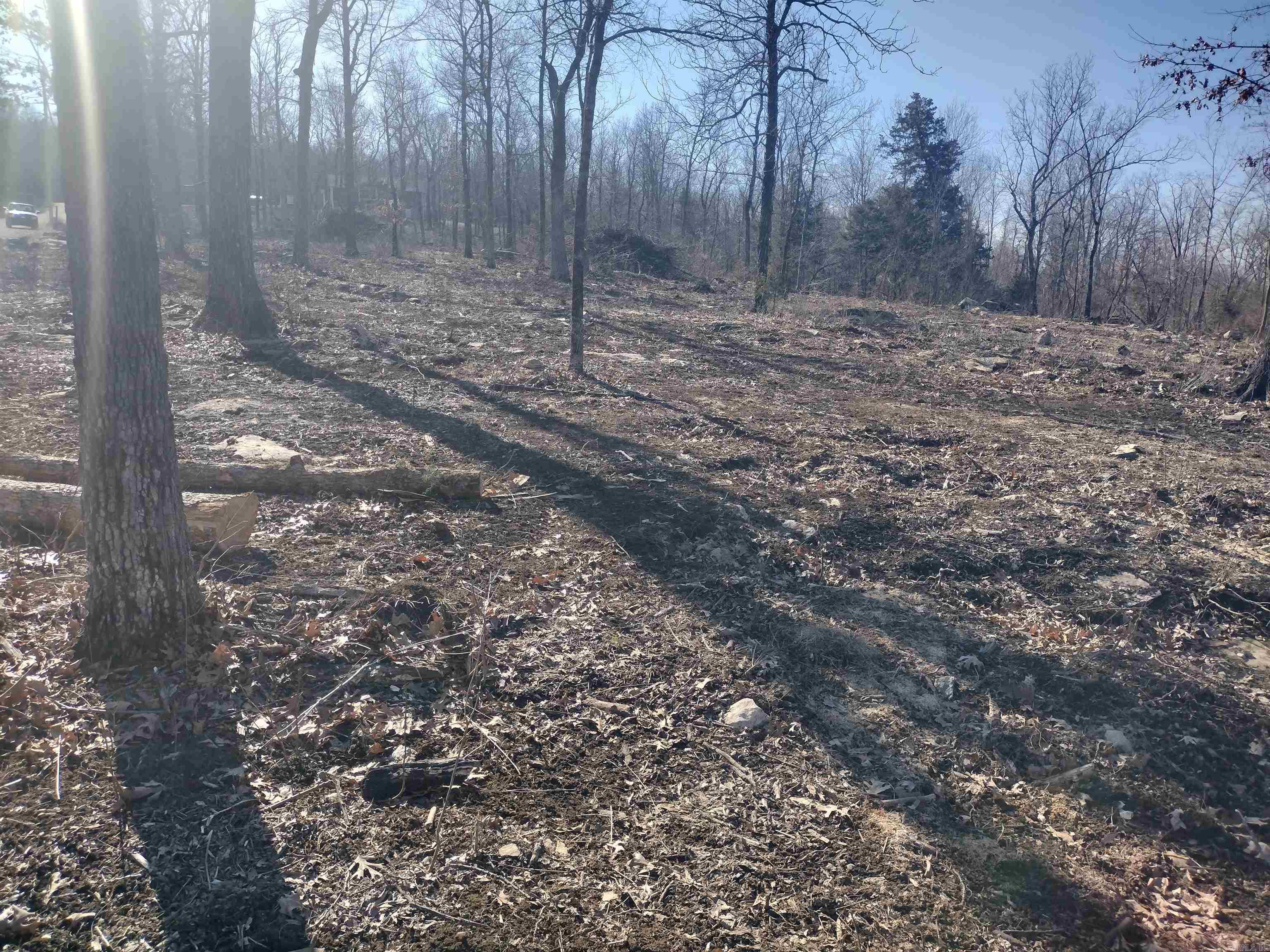 0 Harness RD  Mountain View, AR