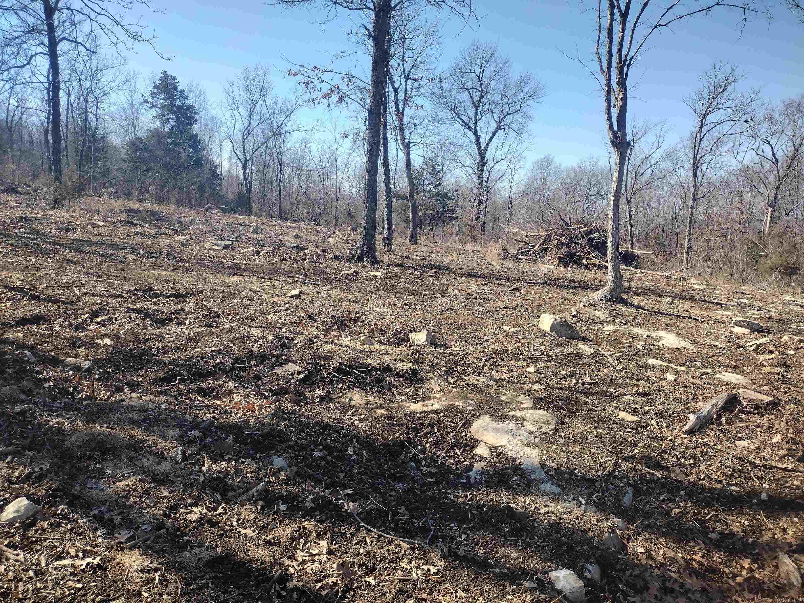 0 Harness RD  Mountain View, AR