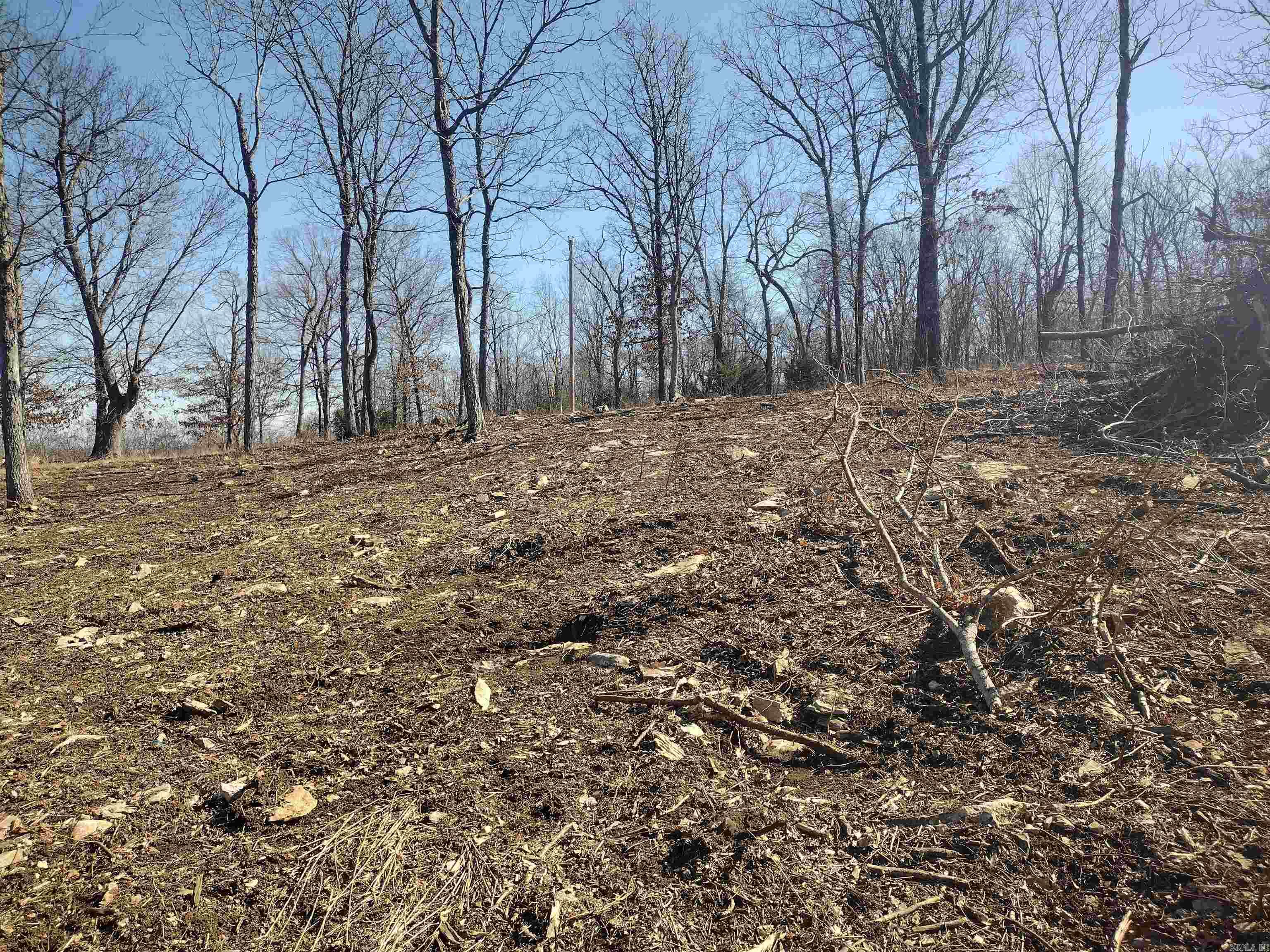 0 Harness RD  Mountain View, AR