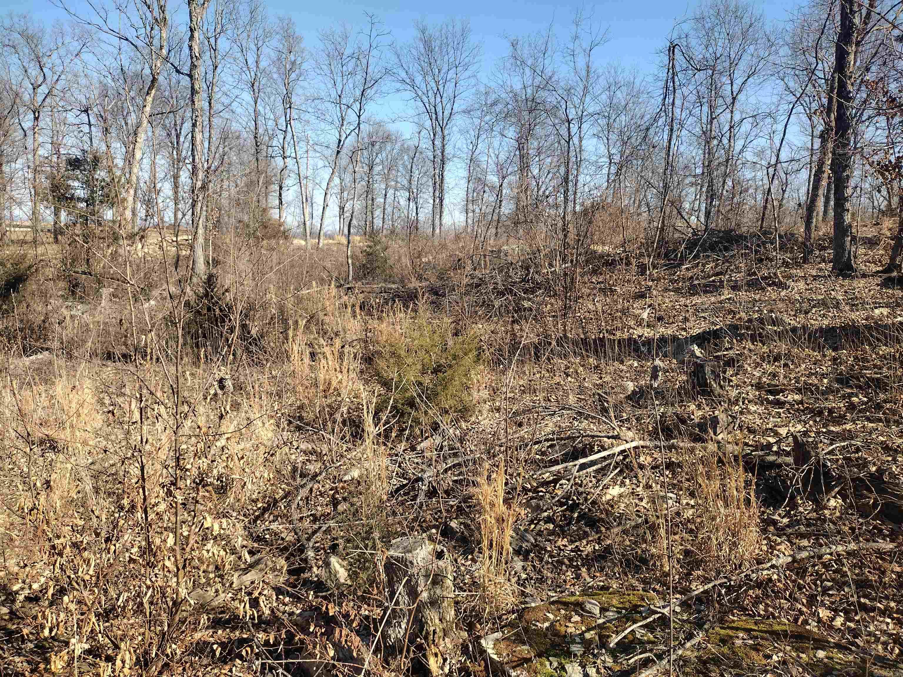 0 Harness RD  Mountain View, AR