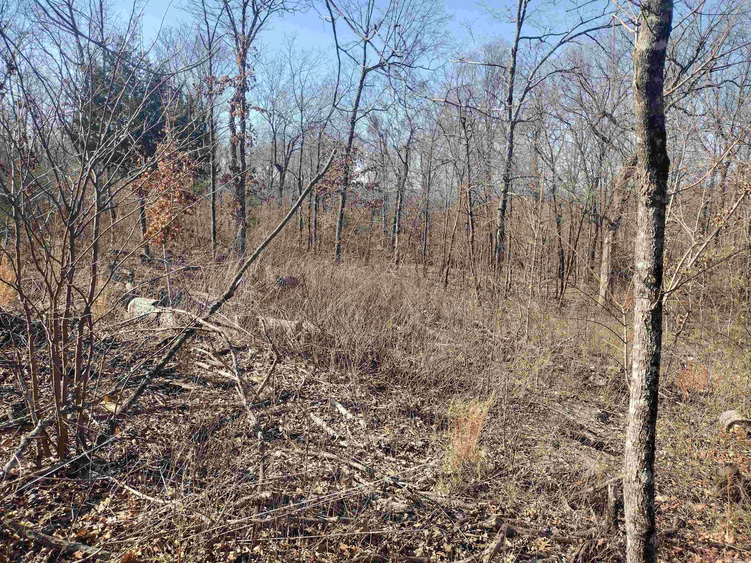 0 Harness RD  Mountain View, AR