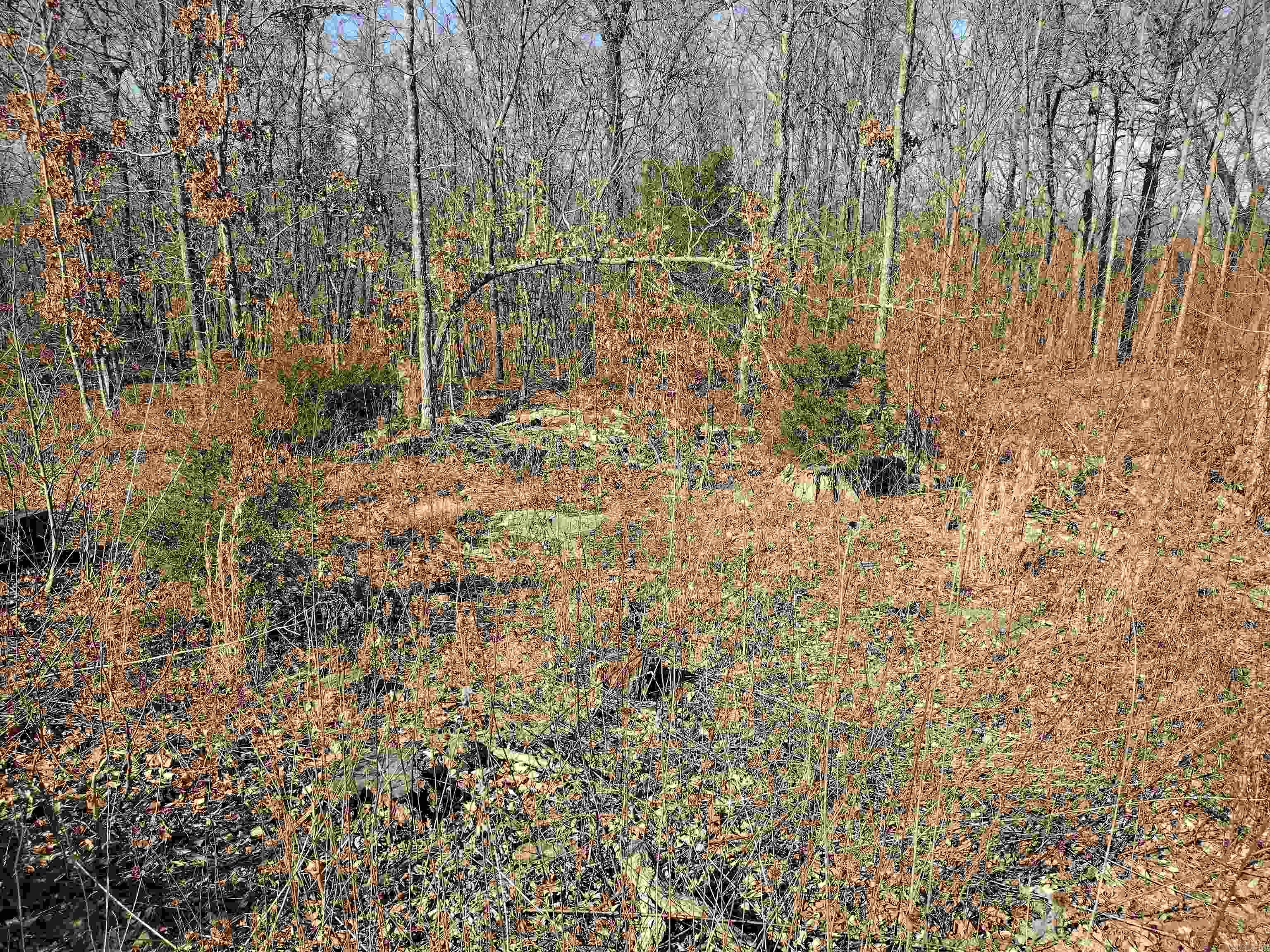 0 Harness RD  Mountain View, AR