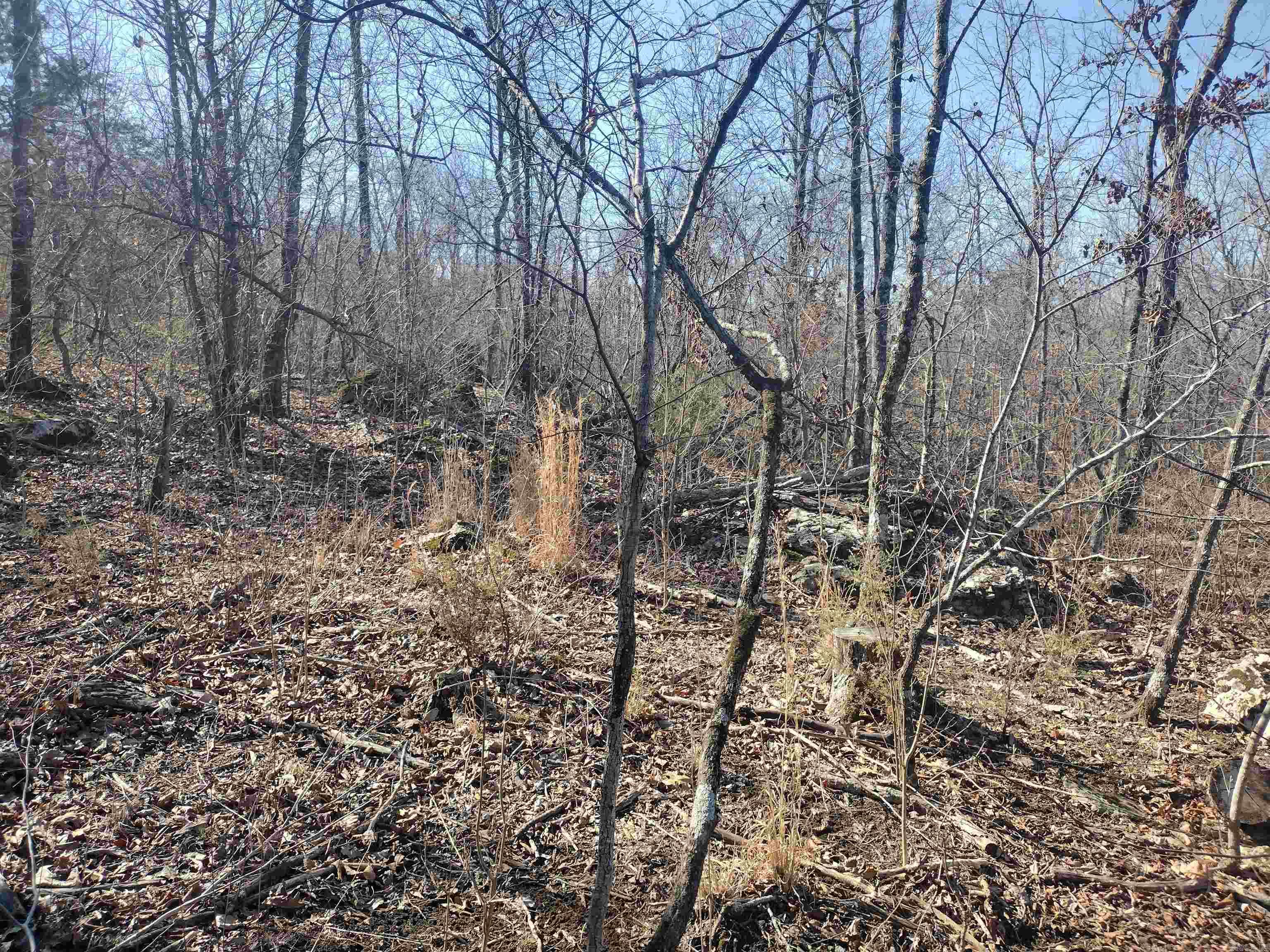 0 Harness RD  Mountain View, AR