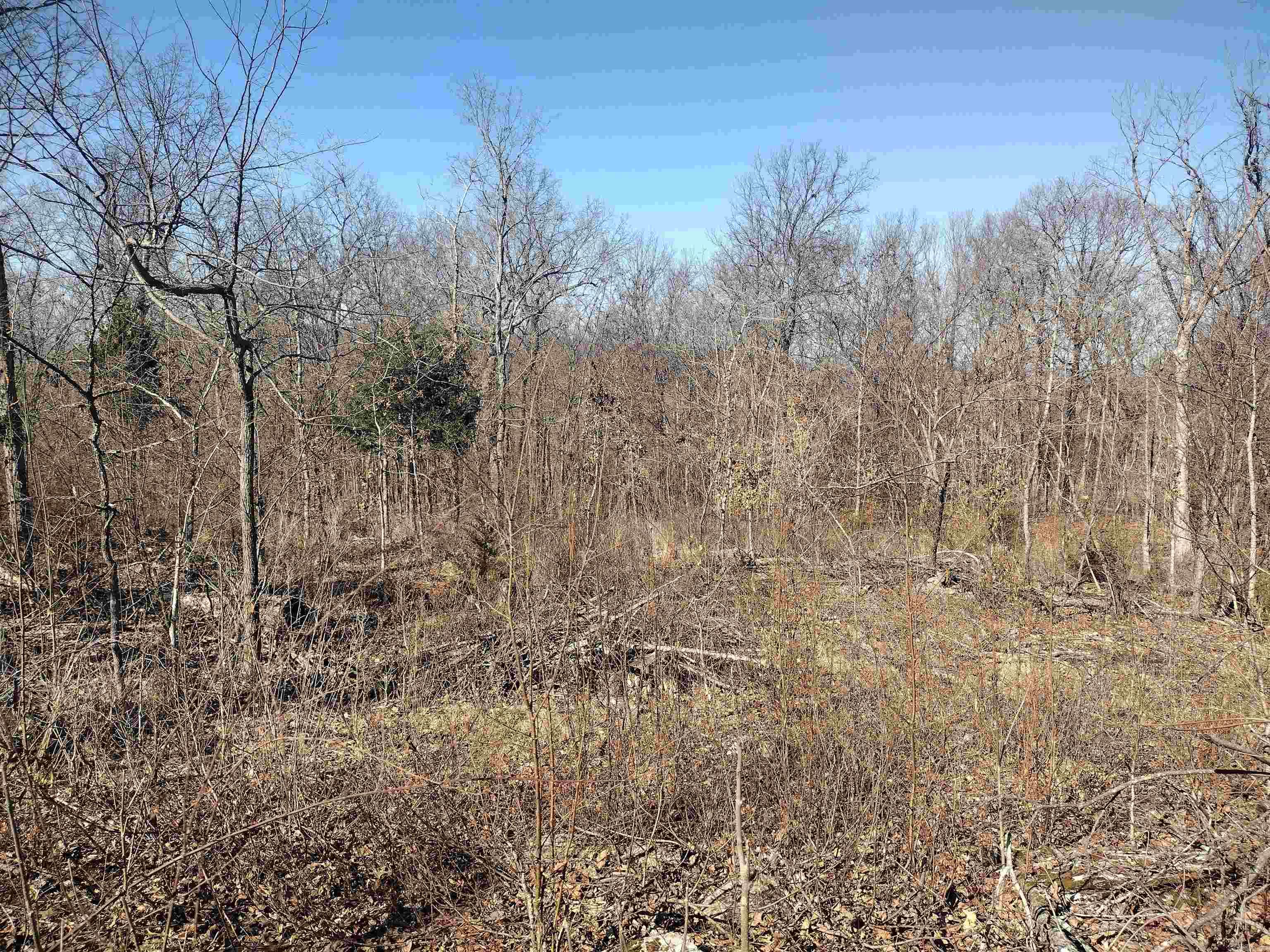 0 Harness RD  Mountain View, AR