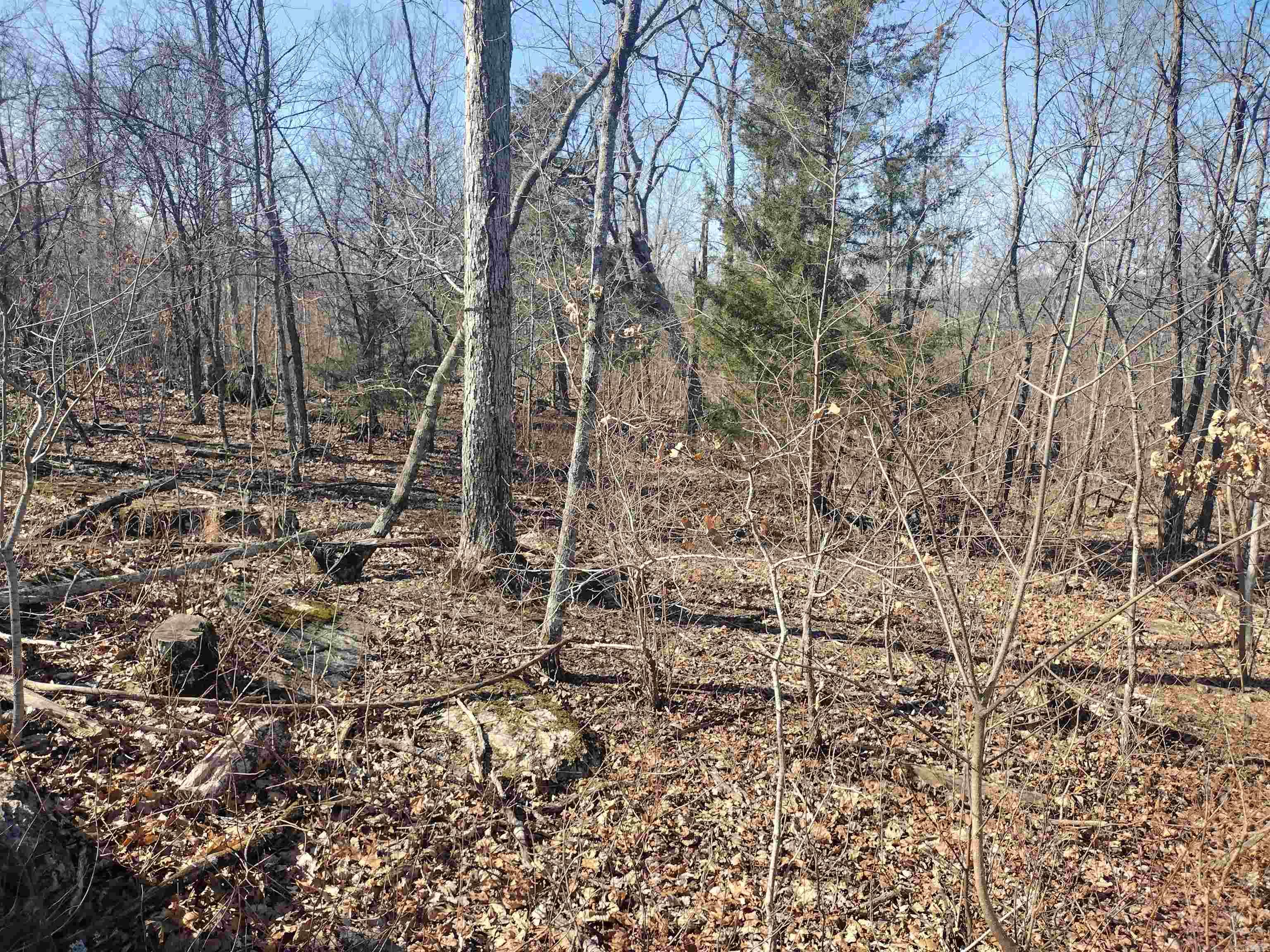 0 Harness RD  Mountain View, AR