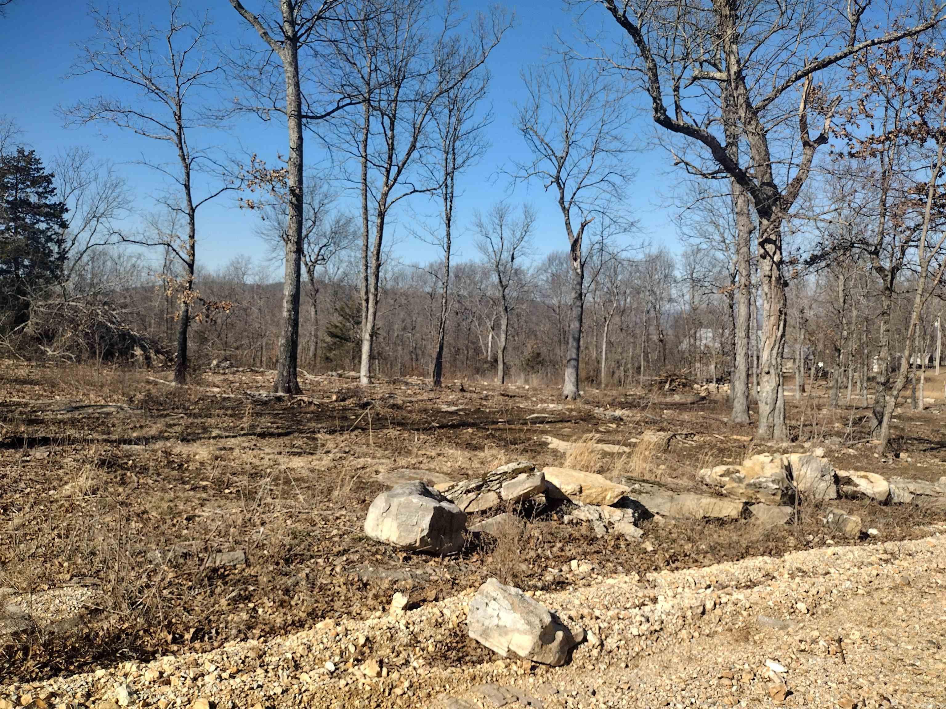 0 Harness RD  Mountain View, AR