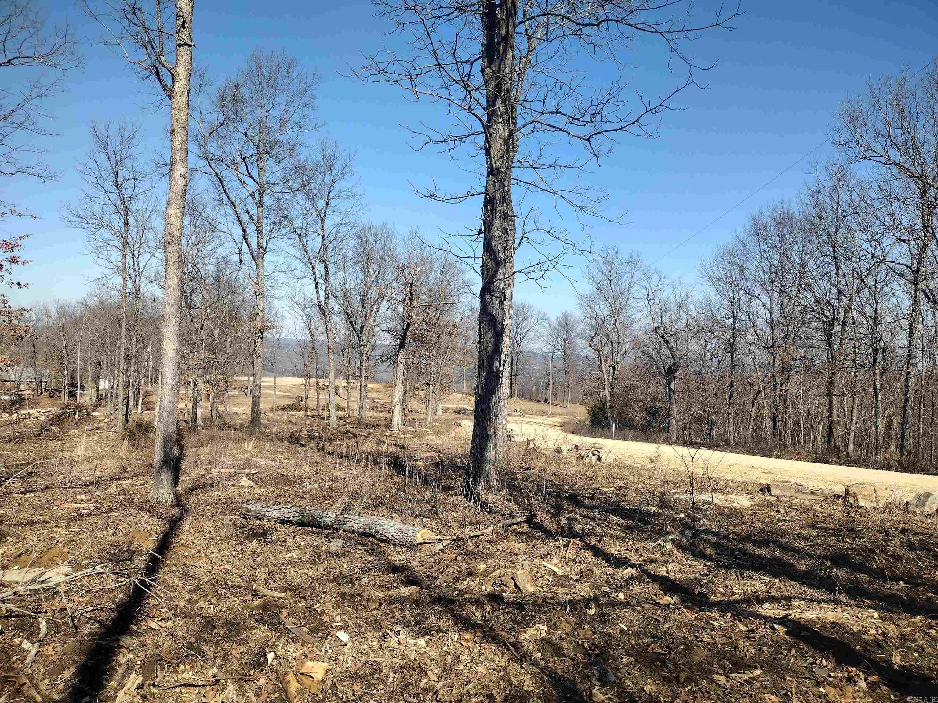 0 Harness RD  Mountain View, AR