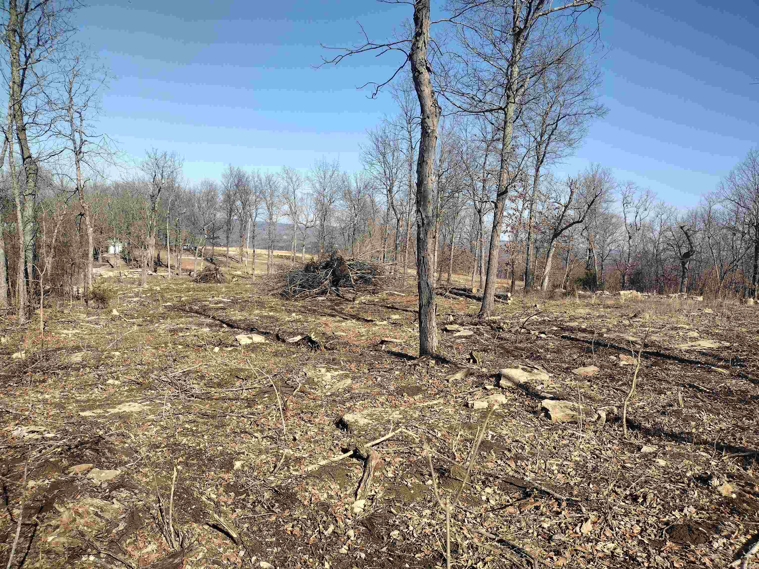 0 Harness RD  Mountain View, AR