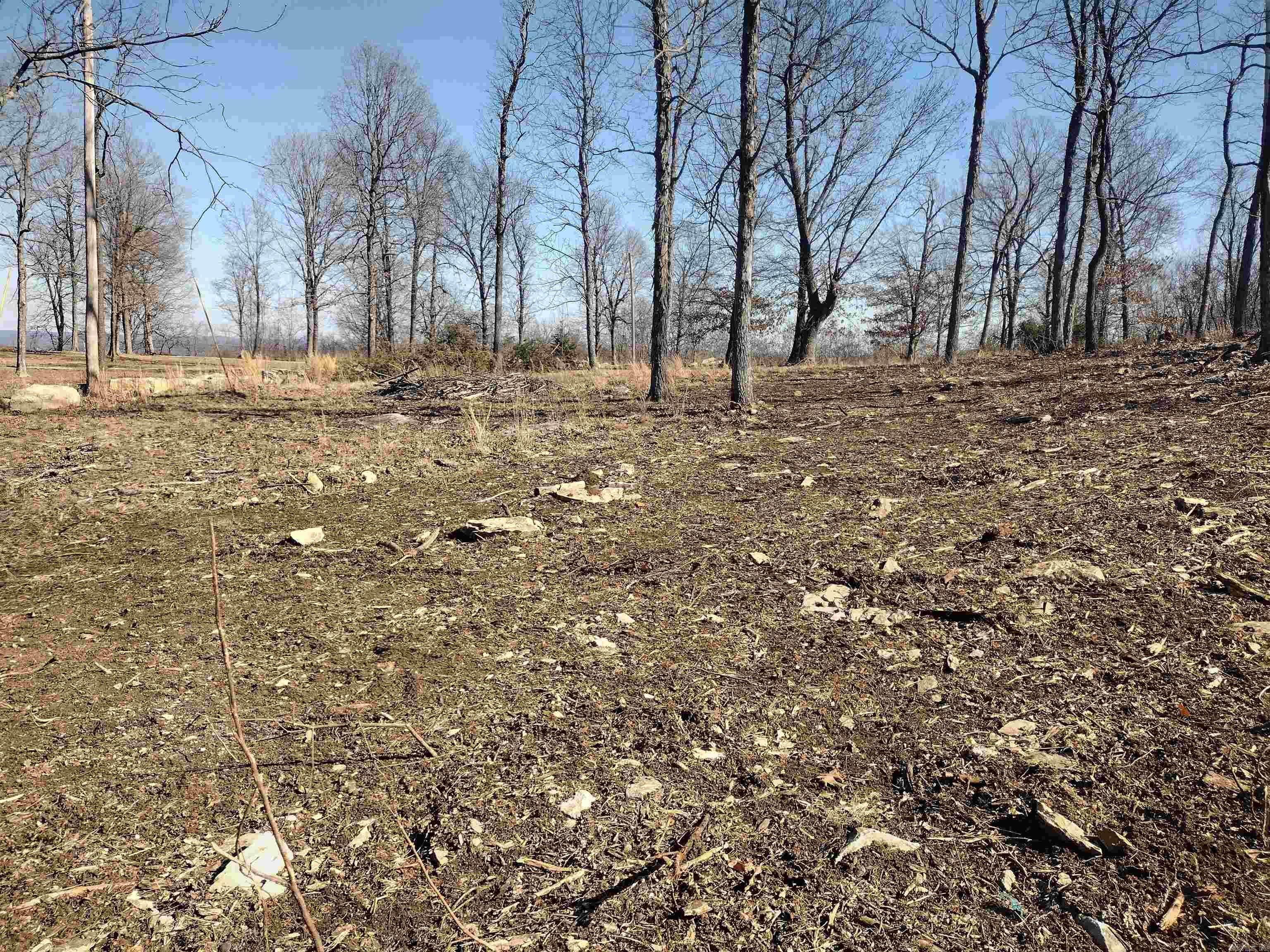 0 Harness RD  Mountain View, AR