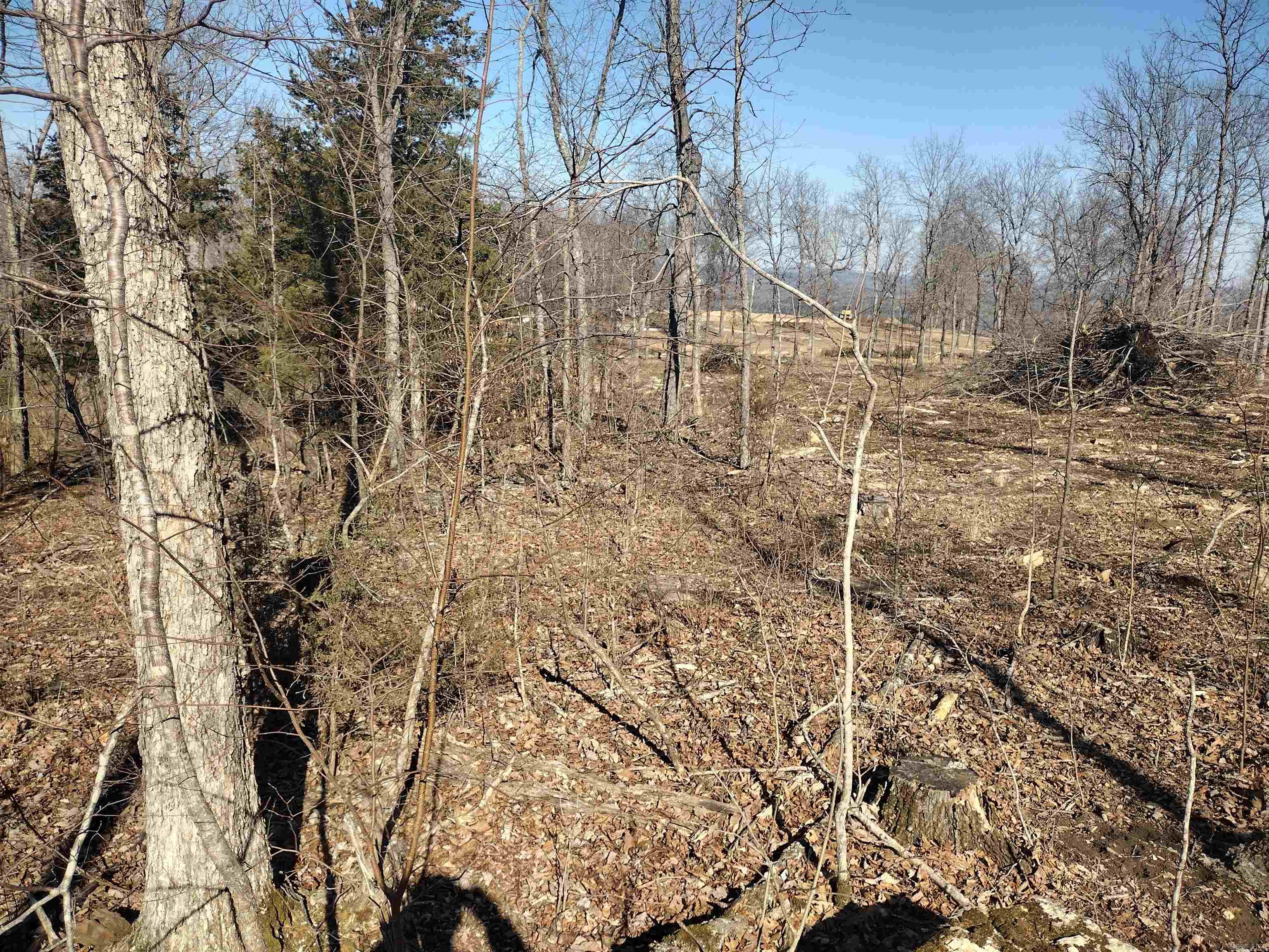 0 Harness RD  Mountain View, AR