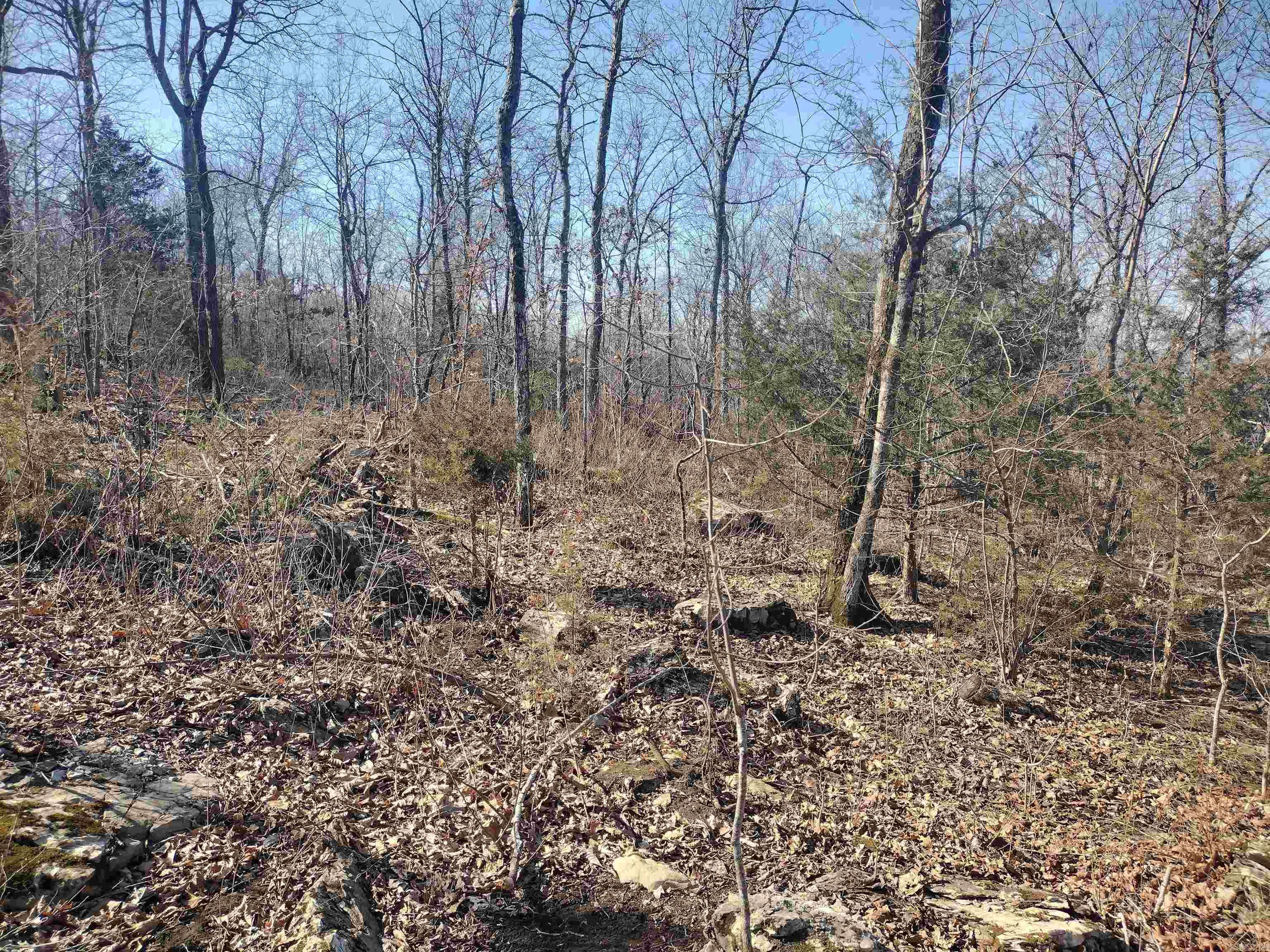 0 Harness RD  Mountain View, AR