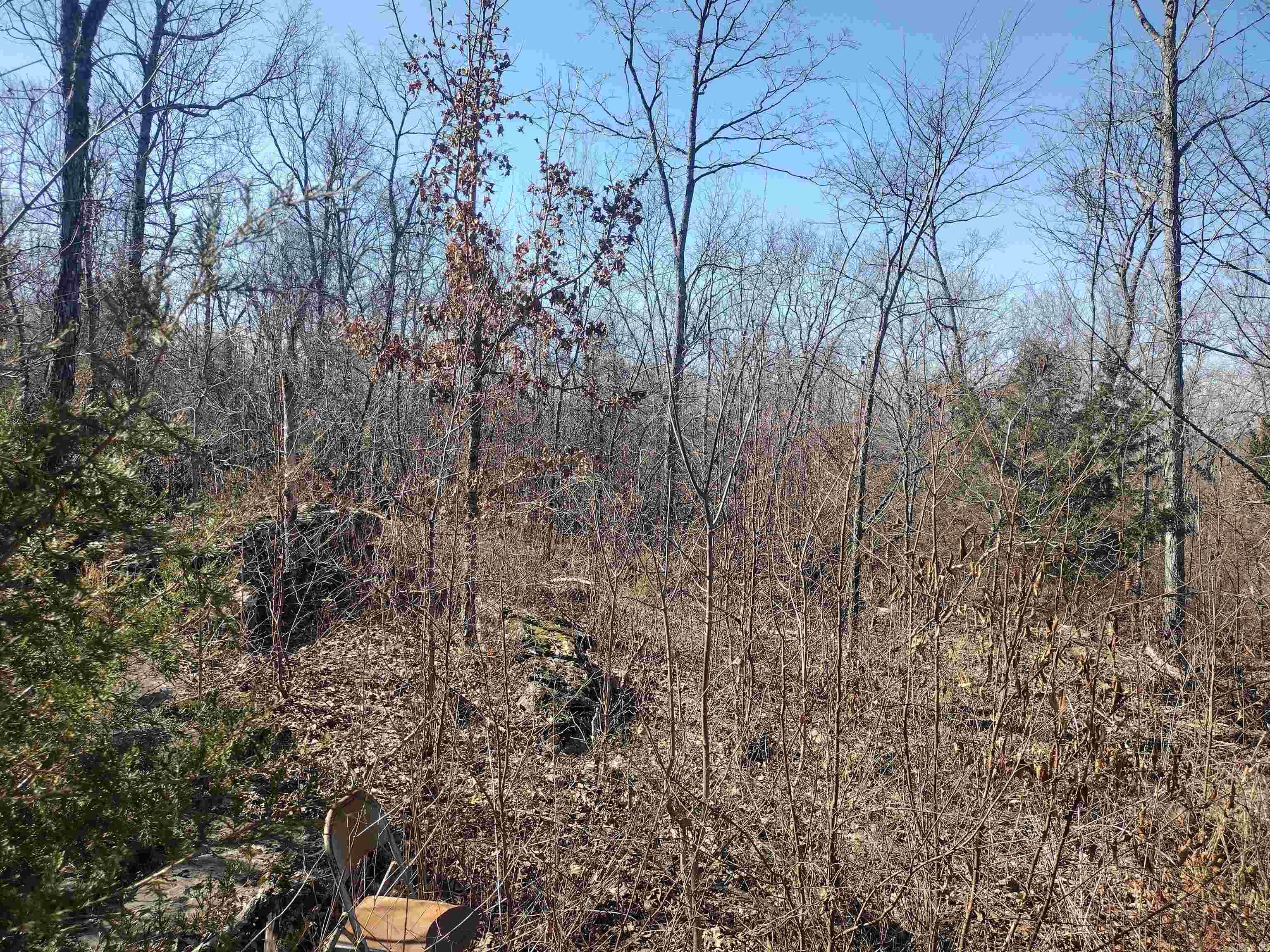 0 Harness RD  Mountain View, AR