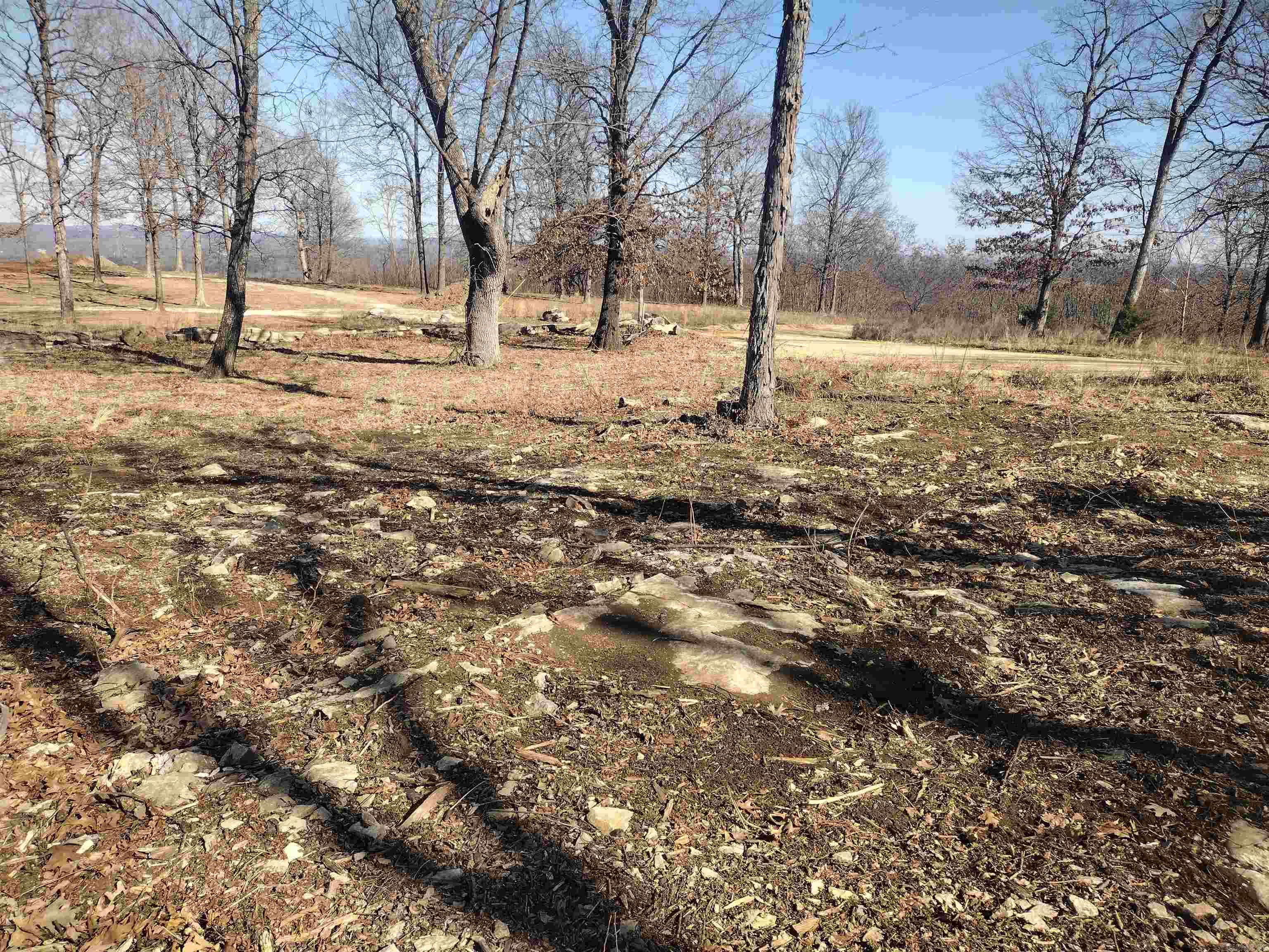 0 Harness RD  Mountain View, AR