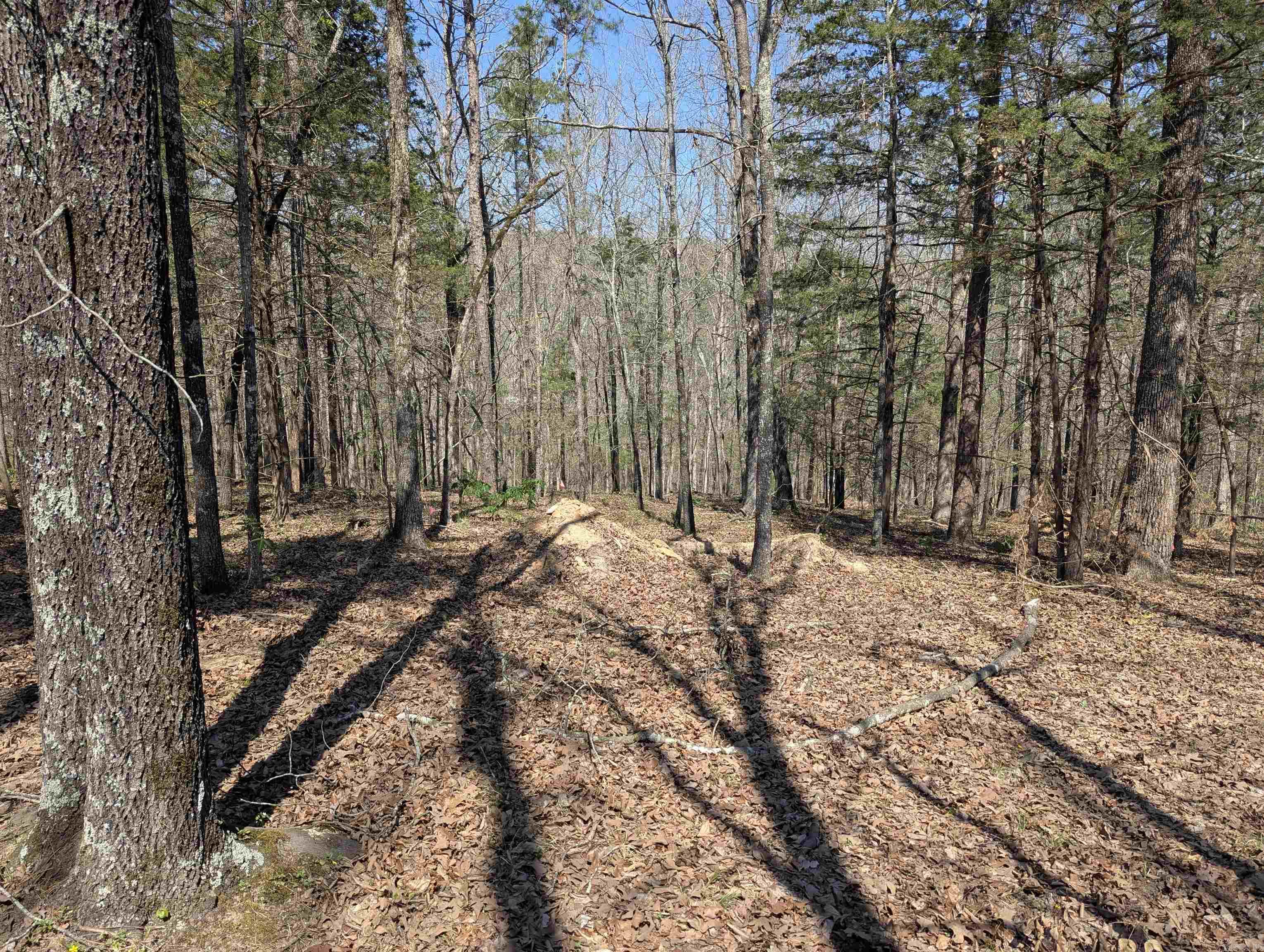 Lot 20 River Ridge Estates  Heber Springs, AR