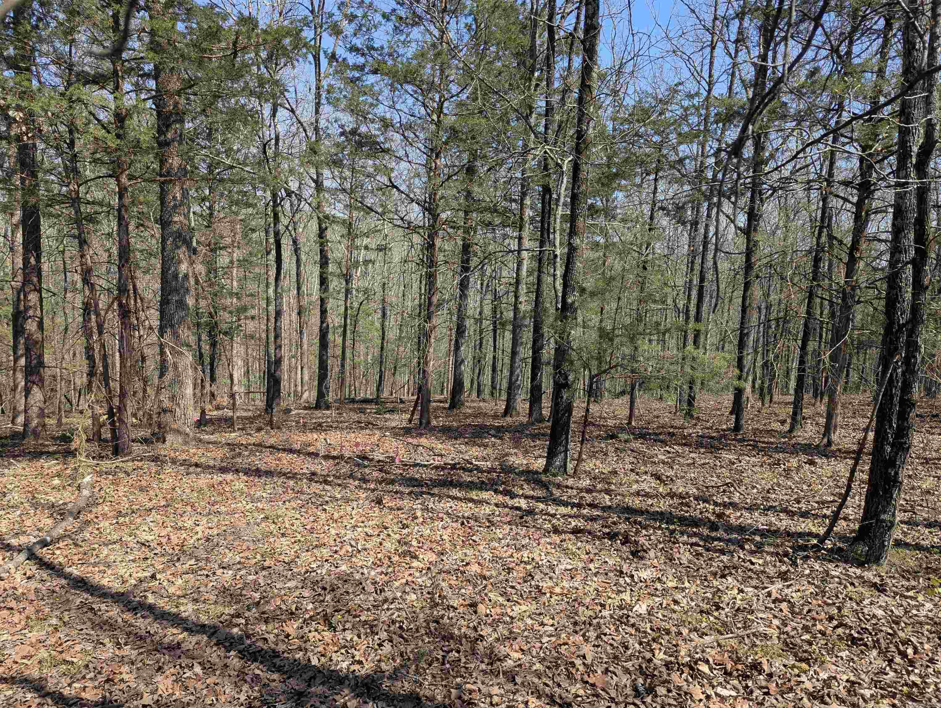Lot 20 River Ridge Estates  Heber Springs, AR