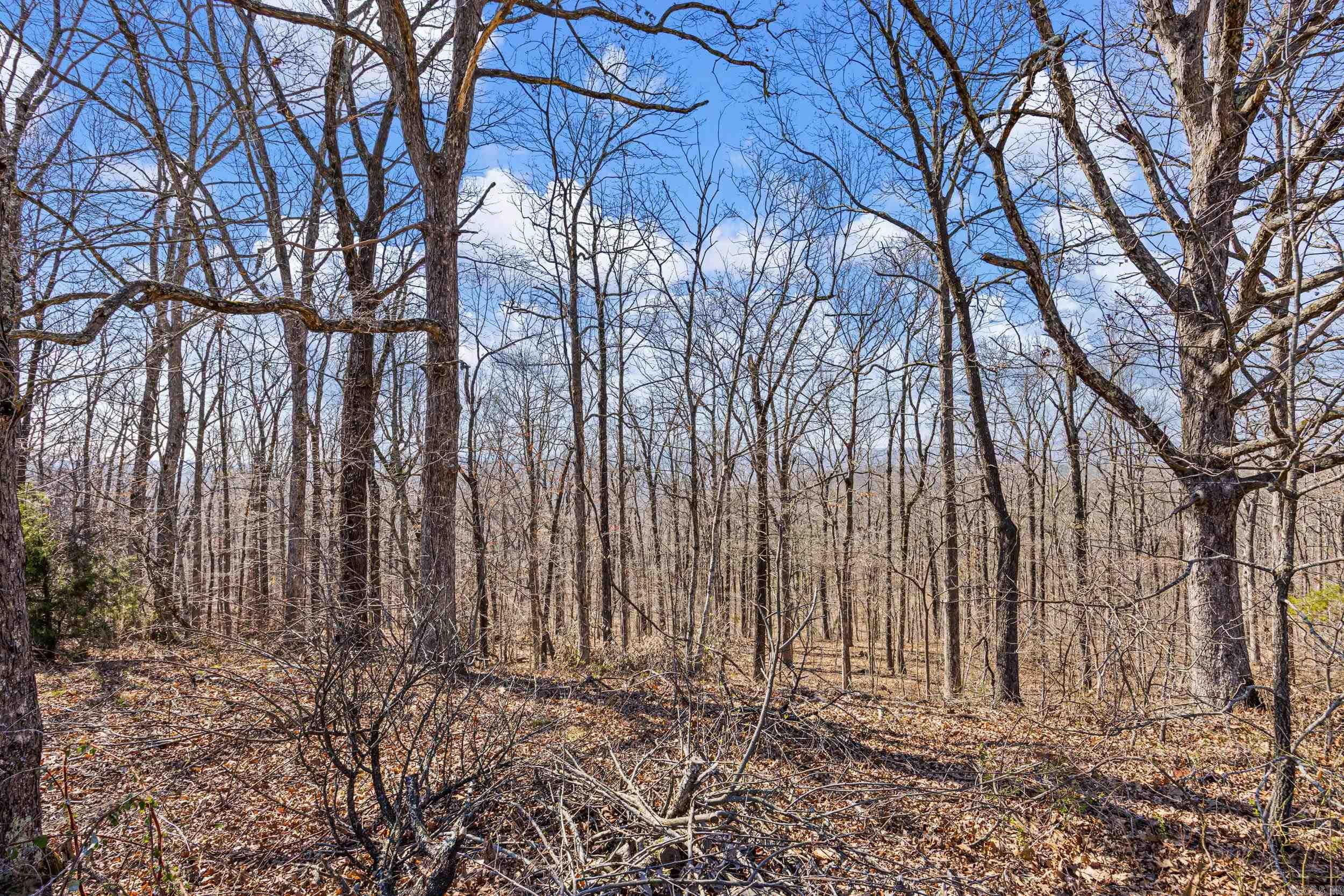 5228 Dabney  Jerusalem, AR