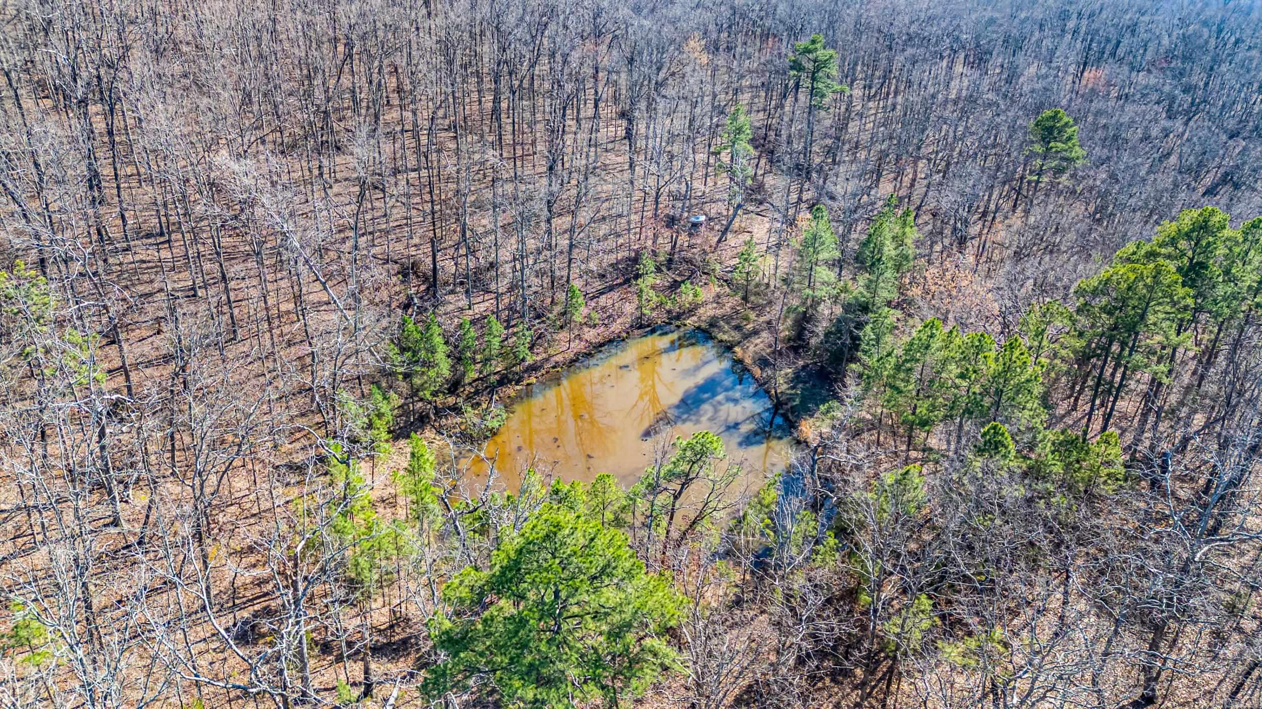 5228 Dabney  Jerusalem, AR