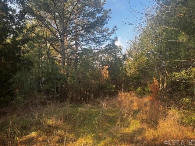 2110 Hoelscher  Pocahontas, AR