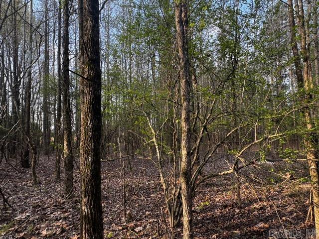 2110 Hoelscher  Pocahontas, AR