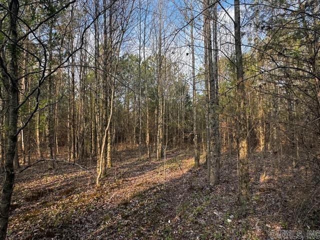 2110 Hoelscher  Pocahontas, AR