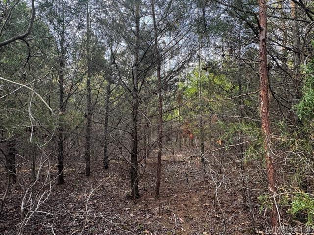 2110 Hoelscher  Pocahontas, AR