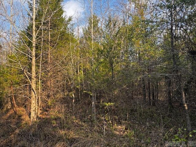 2110 Hoelscher  Pocahontas, AR