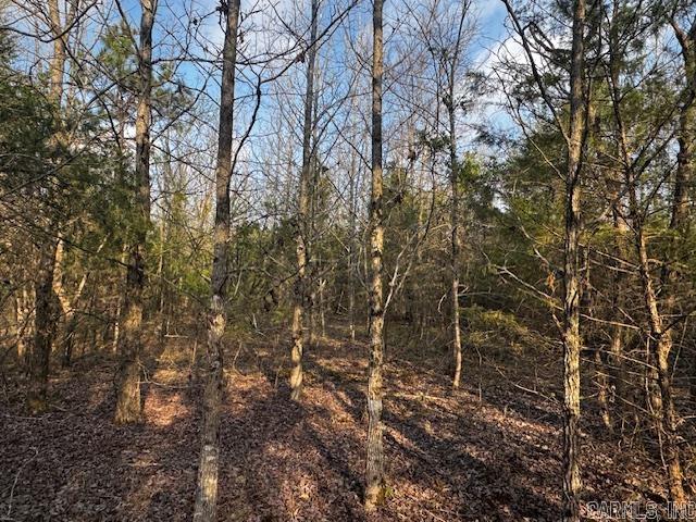 2110 Hoelscher  Pocahontas, AR