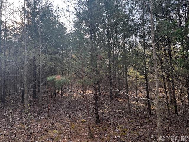 2110 Hoelscher  Pocahontas, AR