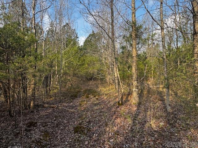 2110 Hoelscher  Pocahontas, AR