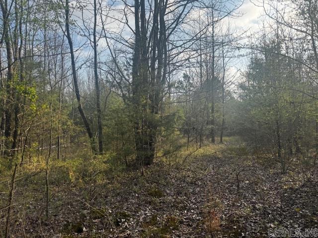 2110 Hoelscher  Pocahontas, AR