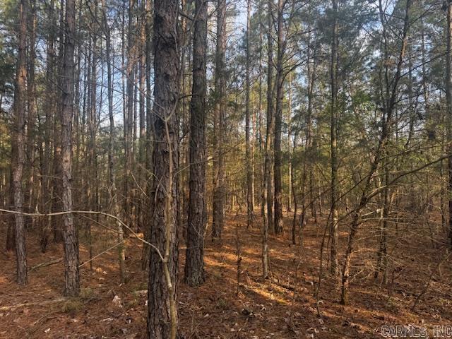 2110 Hoelscher  Pocahontas, AR