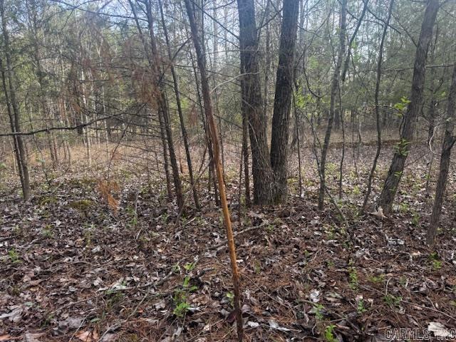 2110 Hoelscher  Pocahontas, AR