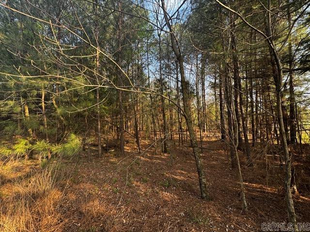 2110 Hoelscher  Pocahontas, AR