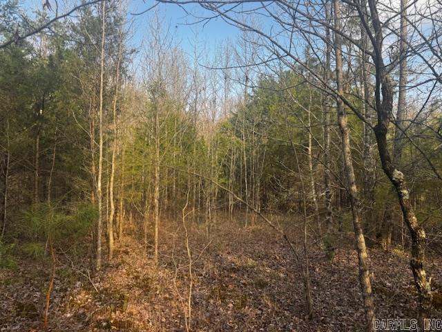 2110 Hoelscher  Pocahontas, AR