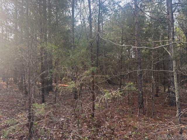 2110 Hoelscher  Pocahontas, AR