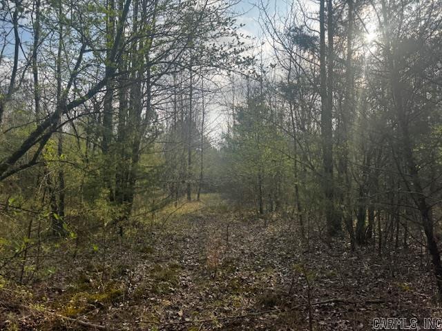 2110 Hoelscher  Pocahontas, AR