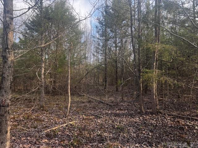 2110 Hoelscher  Pocahontas, AR