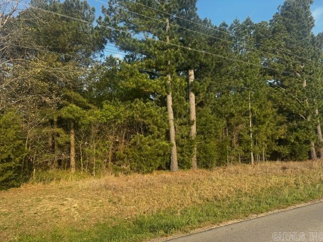 2110 Hoelscher  Pocahontas, AR