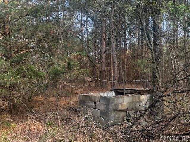 2110 Hoelscher  Pocahontas, AR