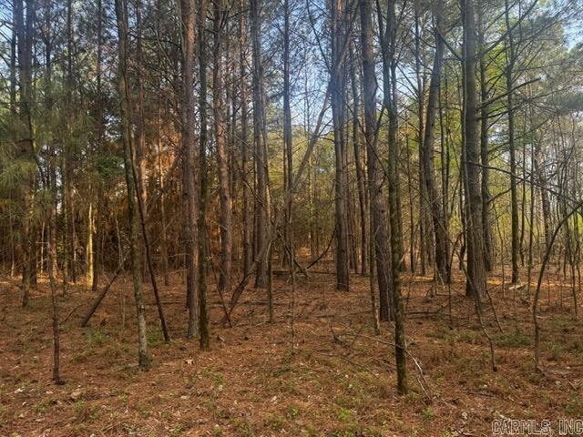 2110 Hoelscher  Pocahontas, AR