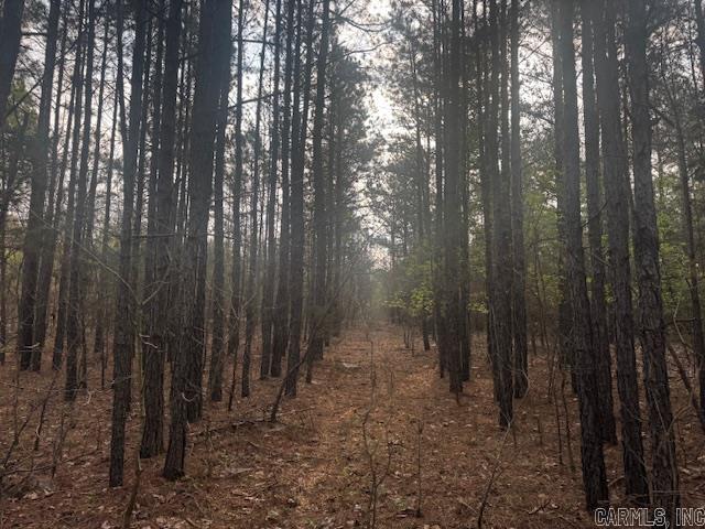 2110 Hoelscher  Pocahontas, AR